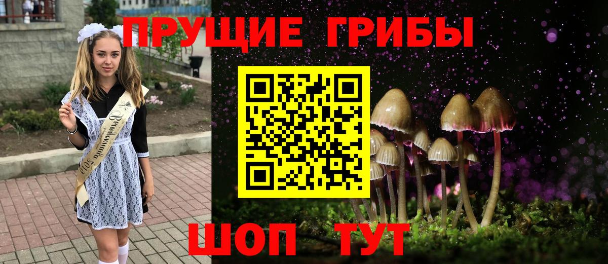 Галлюциногенные грибы MAGIC MUSHROOMS  где найти наркотики  Дзержинск  Вход с VPN  Галлюциногенные грибы Psilocybe 
