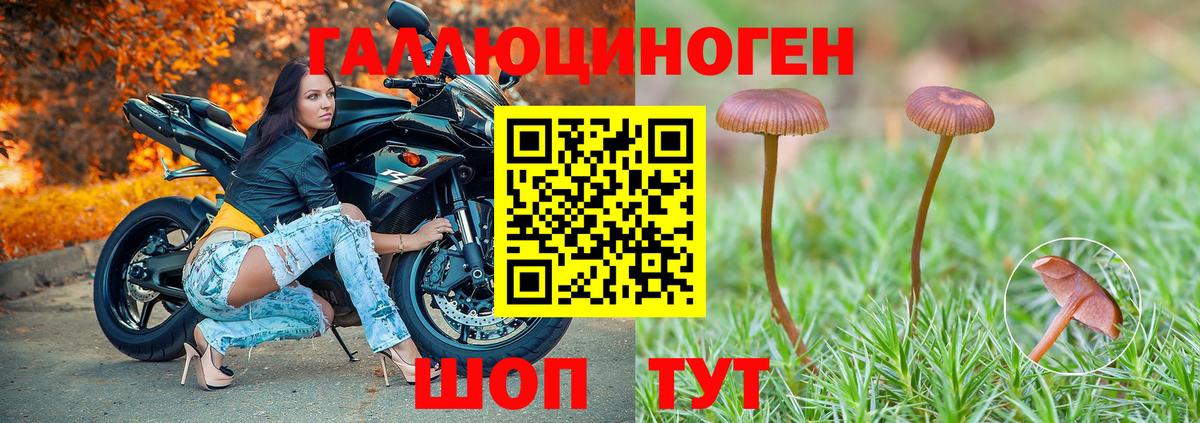Галлюциногенные грибы MAGIC MUSHROOMS Дзержинск